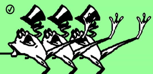 Convocatoria TRImarchi 2021